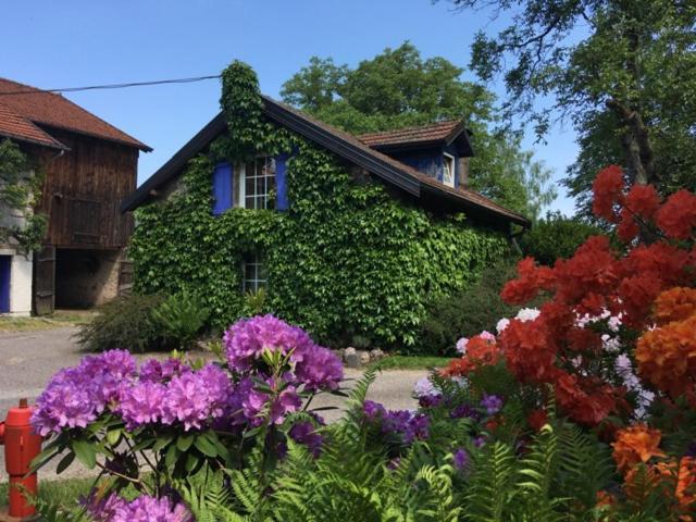 Gite Et Roulotte Dans Les Vosges Remiremont Exterior foto